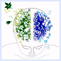 Lorsque nous fonctionnons à partir de l'hémisphère droit du cerveau nous avons accès à nos ressources intuitives.