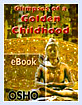 Glimpses of a Golden Childhood
