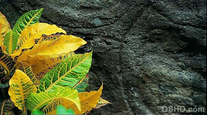 A MATTER OF LIFE AND DEATH (Part 8) A MATTER OF LIFE AND DEATH (Part 8)