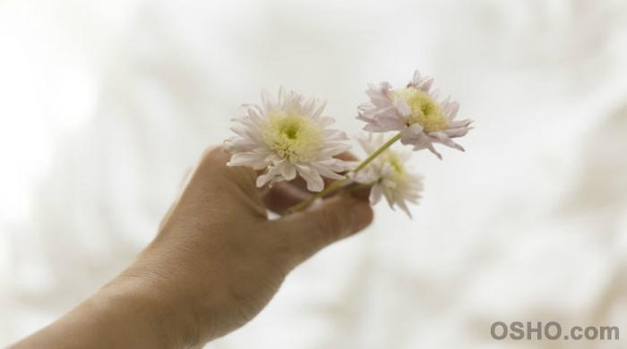 LET LOVE BE YOUR PRAYER (Part 5) LET LOVE BE YOUR PRAYER (Part 5)