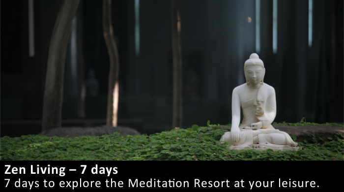 Zen Living – 7 Days Zen Living – 7 Days