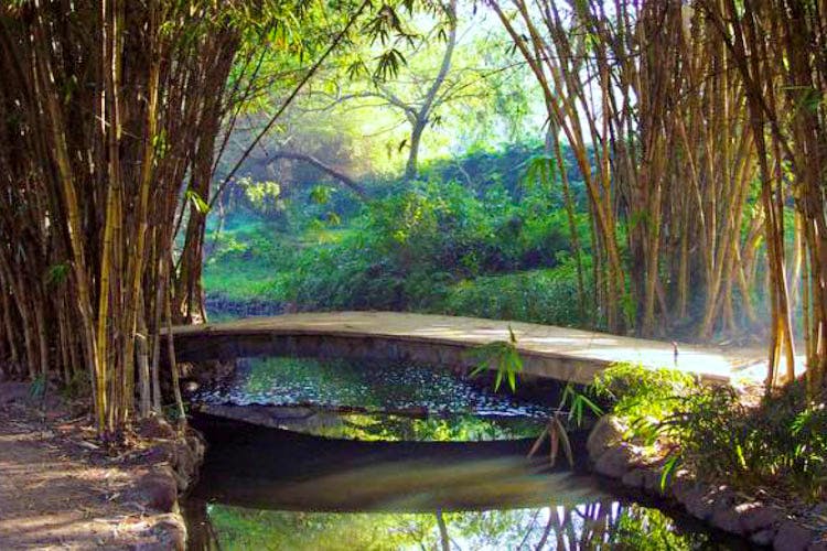 哲学について Osho の言葉から Osho Transform Yourself Through The Science Of Meditation