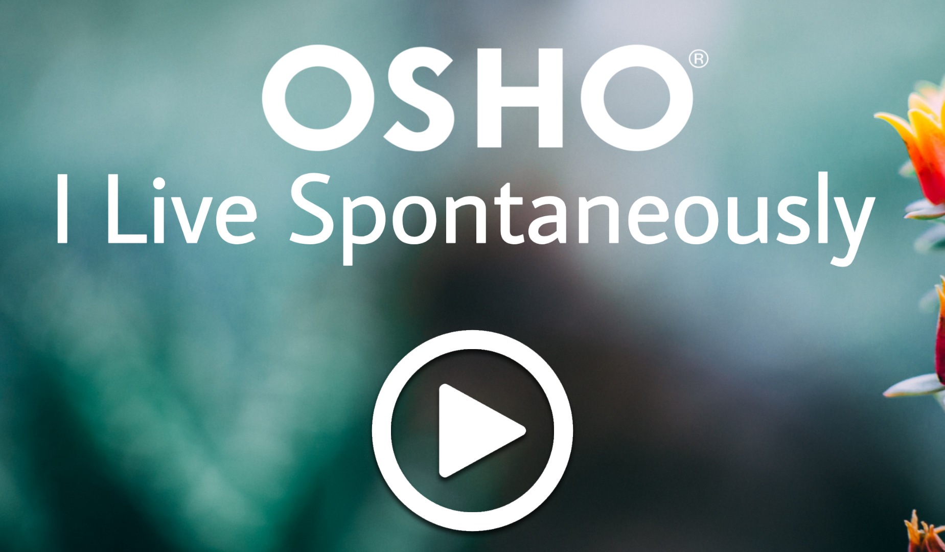 Videos Osho Meditation Mindfulness And The Science Of The Inner Videos Osho Meditation Mindfulness And The Science Of The Inner