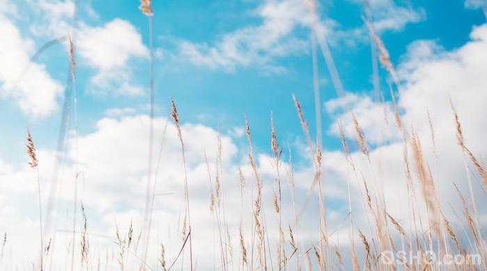 セックスについて Oshoの言葉から Osho Transform Yourself Through The Science Of Meditation