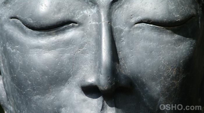 Usare l’intuizione Usare l’intuizione