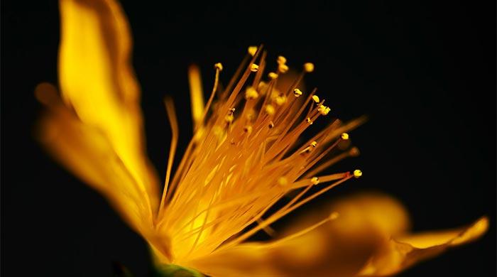 方便ではもう間に合わない 方便ではもう間に合わない