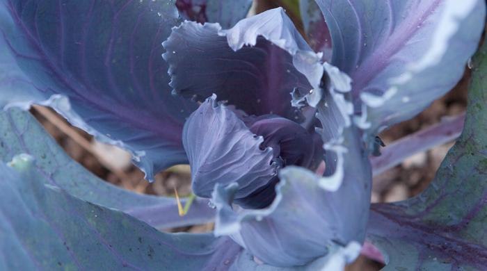 Osho Zitate über Entspannung Osho Zitate über Entspannung