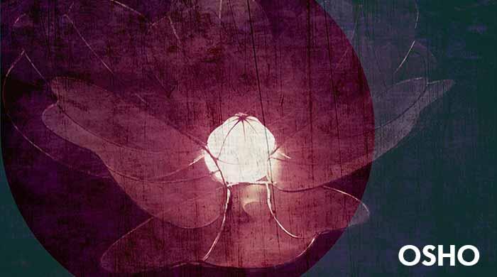 慈愛という名の療法 慈愛という名の療法