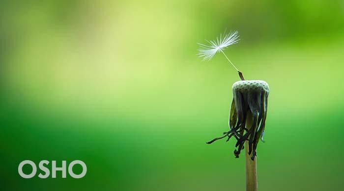 自然に起こるがままに行動するときは、いつでも正しい 自然に起こるがままに行動するときは、いつでも正しい
